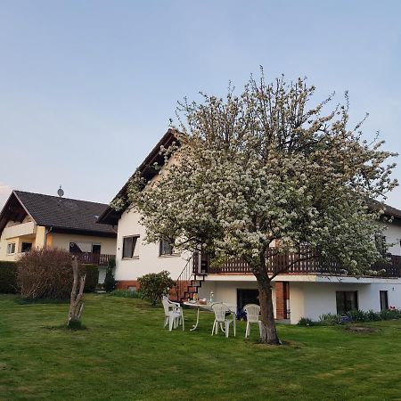 Ferienwohnung-Wald Wald  Exterior photo