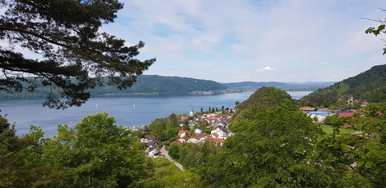 Ferienwohnung-Wald Wald  Exterior photo