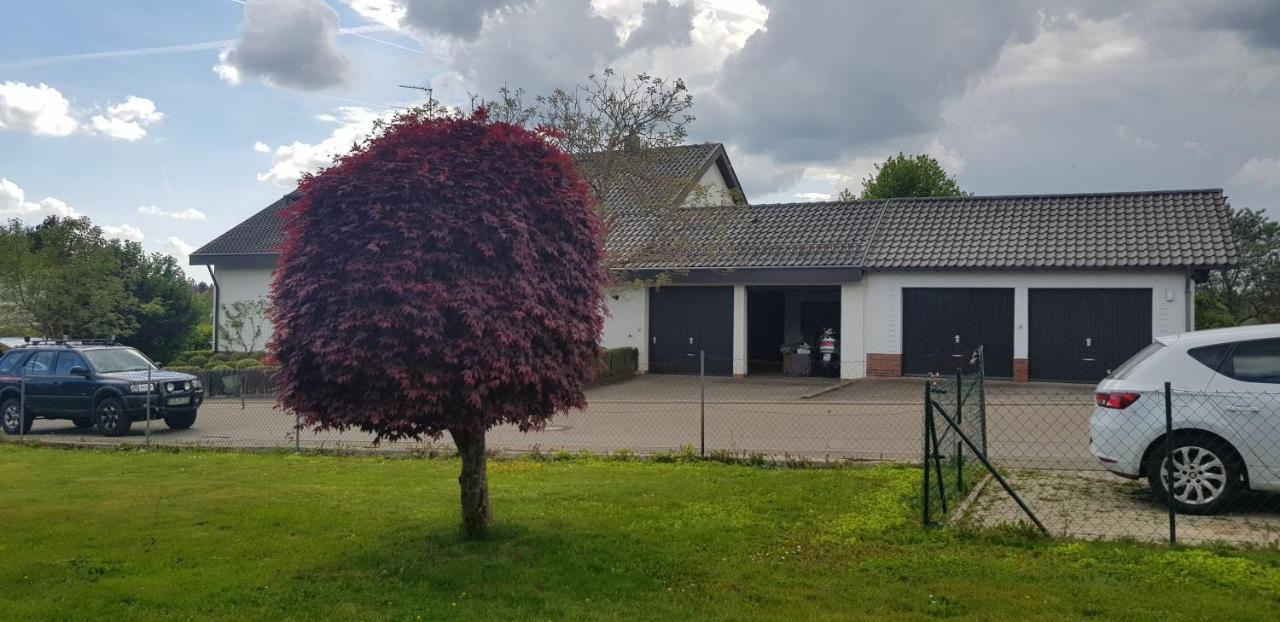 Ferienwohnung-Wald Wald  Exterior photo